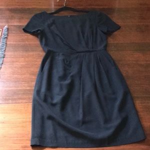 Theory dress